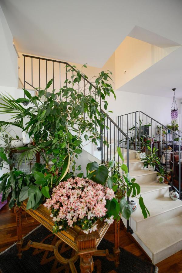מטרה Il Giardino Incantato מראה חיצוני תמונה